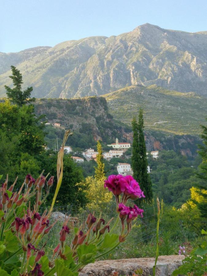 Guest house Penelope 2 Dhermi